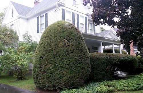 Park House Bed & Breakfast Johnson City Extérieur photo